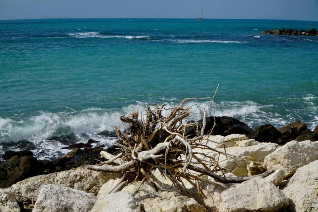 Il Mare In Un Bicchiere Leilighet Sciacca Eksteriør bilde